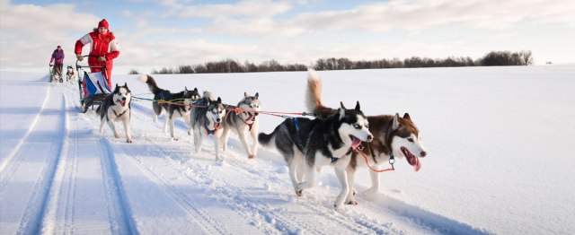 dog-sled-tours.jpg