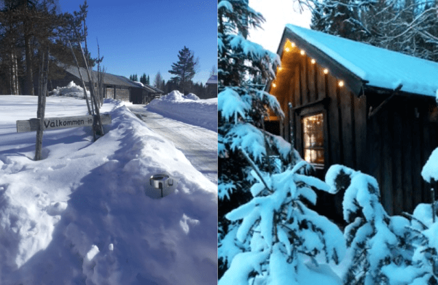 Screen Shot 2018-04-01 at 12.29.07.png